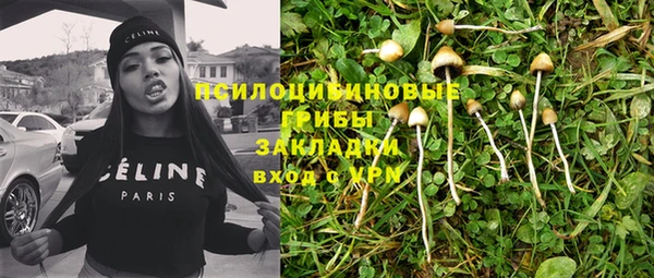 меф Инта