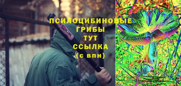 стафф Инсар
