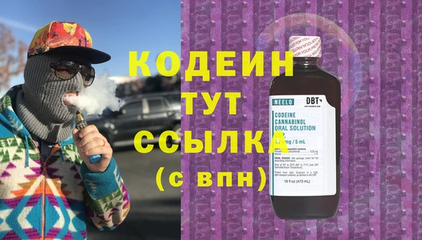 сатива Иннополис