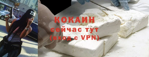 сатива Иннополис