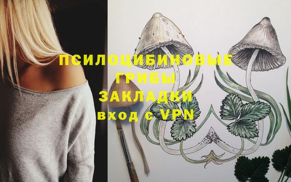 сатива Иннополис