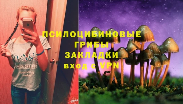меф Инта