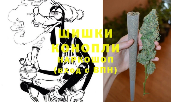 сатива Иннополис
