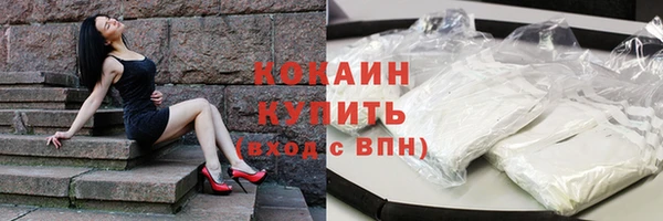 сатива Иннополис